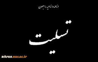 دانشگاهیان دانشگاه فنی و حرفه‌ای در پیامی شهادت جمعی از نیروهای جان‌برکف فراجا در شهرستان راسک استان سیستان و بلوچستان را تسلیت گفتند