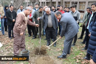 برگزاری آیین درختکاری در دانشکده فنی انقلاب اسلامی 8