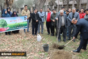 برگزاری آیین درختکاری در دانشکده فنی انقلاب اسلامی 9