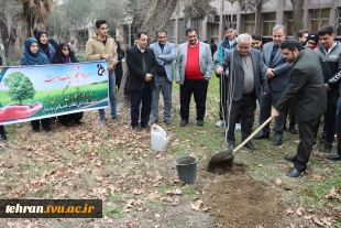 برگزاری آیین درختکاری در دانشکده فنی انقلاب اسلامی 10