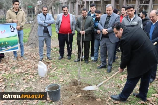 برگزاری آیین درختکاری در دانشکده فنی انقلاب اسلامی 11