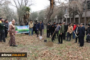 برگزاری آیین درختکاری در دانشکده فنی انقلاب اسلامی 13