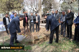 با حضور رئیس دانشگاه ملی مهارت استان تهران صورت گرفت:

برگزاری آیین درختکاری در دانشکده فنی انقلاب اسلامی 2